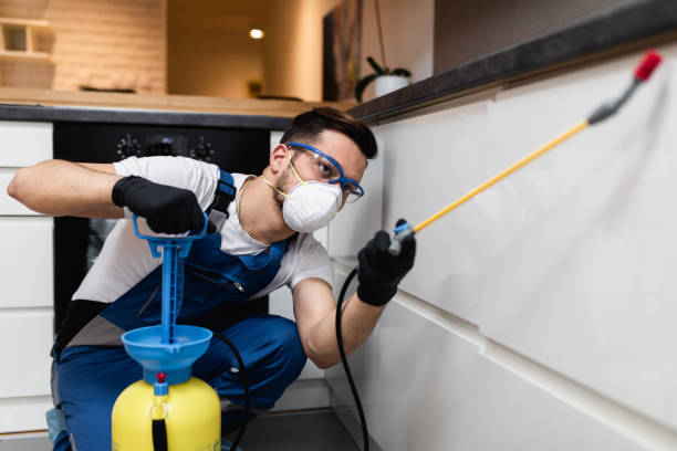 Flea Control Services in Gibbstown, NJ