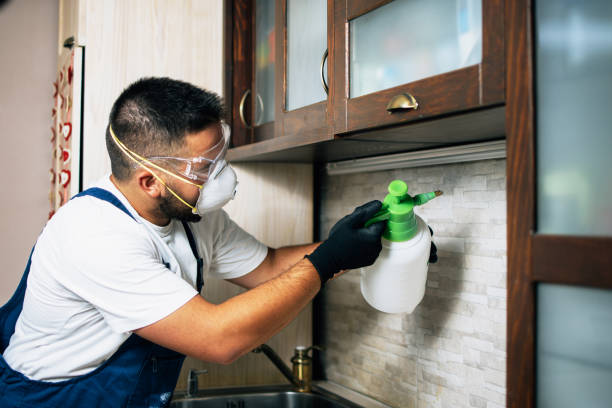 Best Termite Control Services  in Gibbstown, NJ