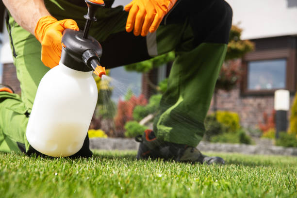 Best Pest Prevention Services  in Gibbstown, NJ