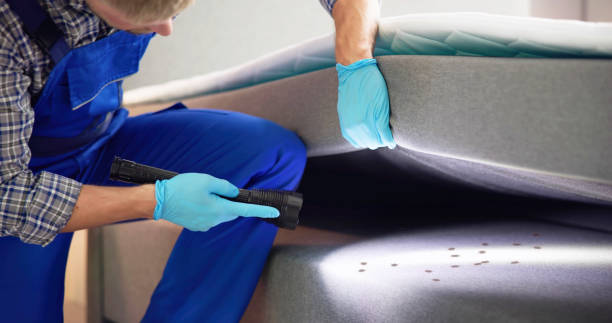 Best Pest Removal Services  in Gibbstown, NJ