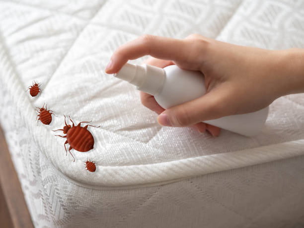 Best Cockroach Control Services  in Gibbstown, NJ