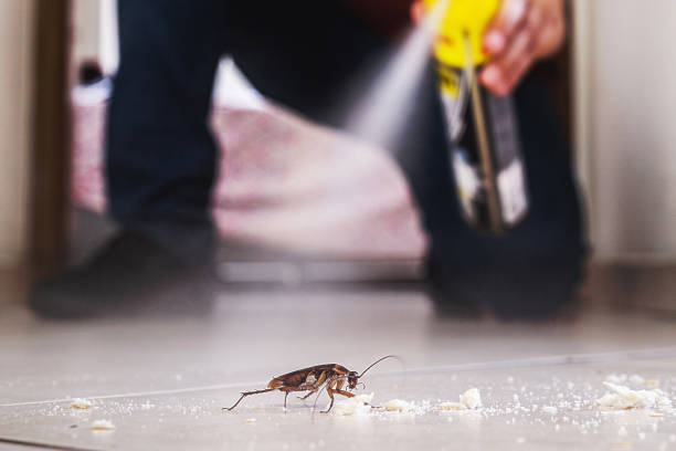 Best Commercial Pest Control Services  in Gibbstown, NJ