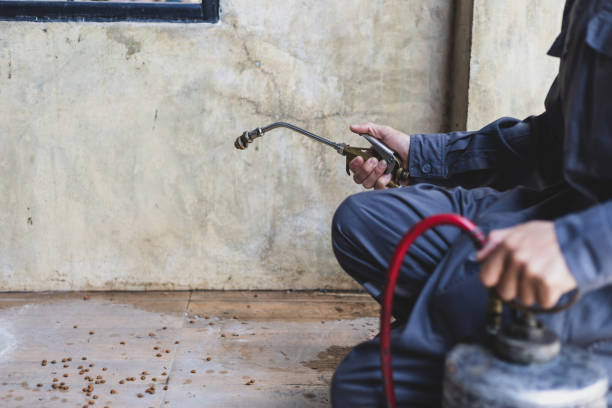 Best Affordable Pest Control Services  in Gibbstown, NJ